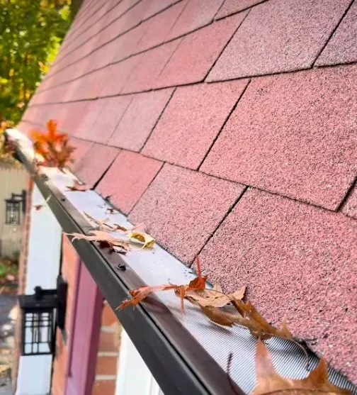 Gutter guard holding fallen leaves at the edge of a shingle roof